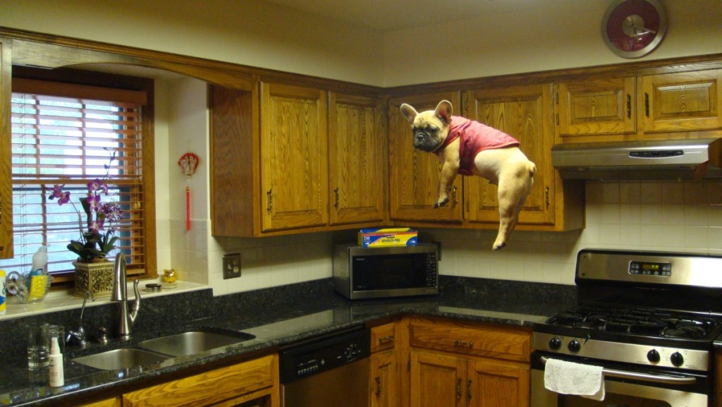 Thor Flying
