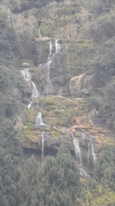 DSCN1095
