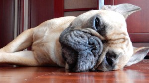 Nap Time