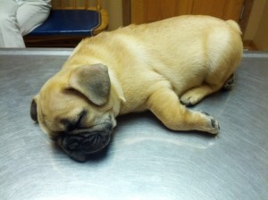 Medical Examines are tiring