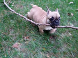 Running with sticks