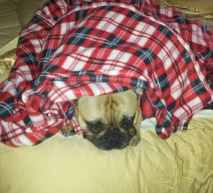 Hangover