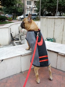The Nike Kid!
