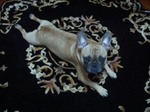 This rug was made for me