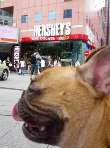I smell chocolate!