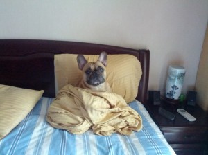 Where's my breakfast?