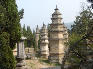 Pagoda Forest